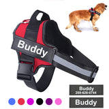 Harnais Anti-Traction Personnalisable -  TrueHarness ™ - trueharness